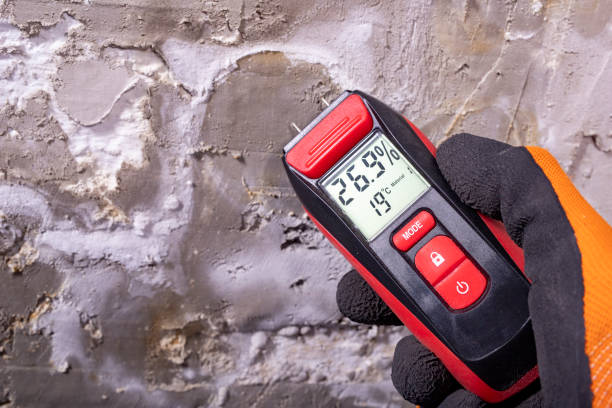 Best Attic Mold Remediation in Galt, CA